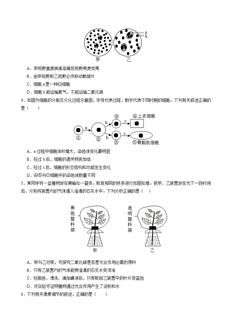 2024年中考生物押题预测卷02（安徽卷）-（含考试版、答案、解析和答题卡）02