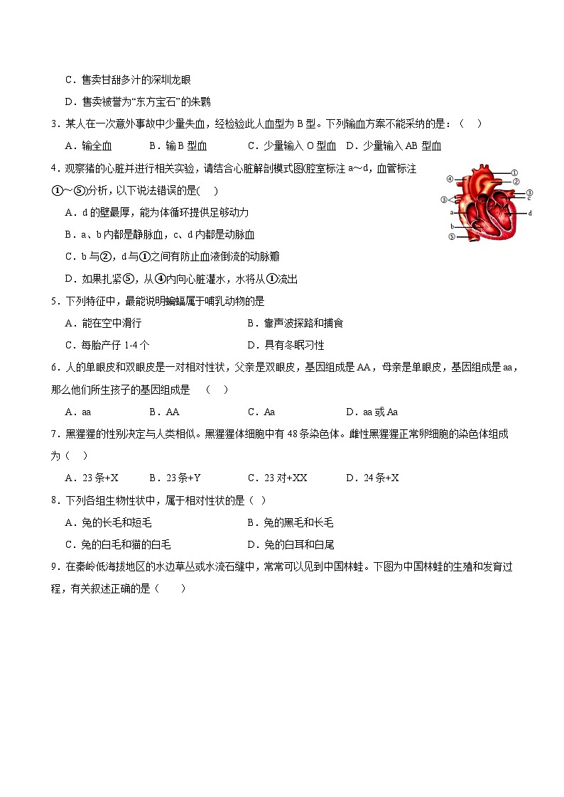 2024年中考生物押题预测卷02（海南卷）-（含考试版、答案、解析和答题卡）02