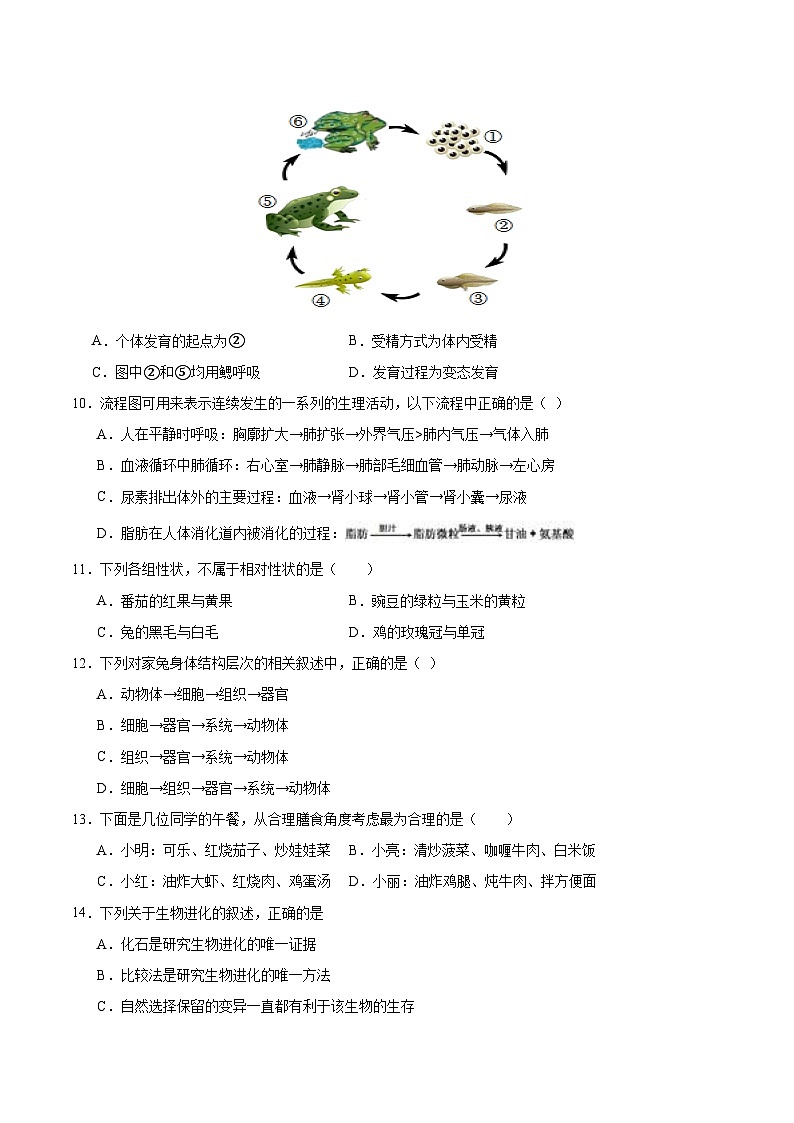 2024年中考生物押题预测卷02（海南卷）-（含考试版、答案、解析和答题卡）03
