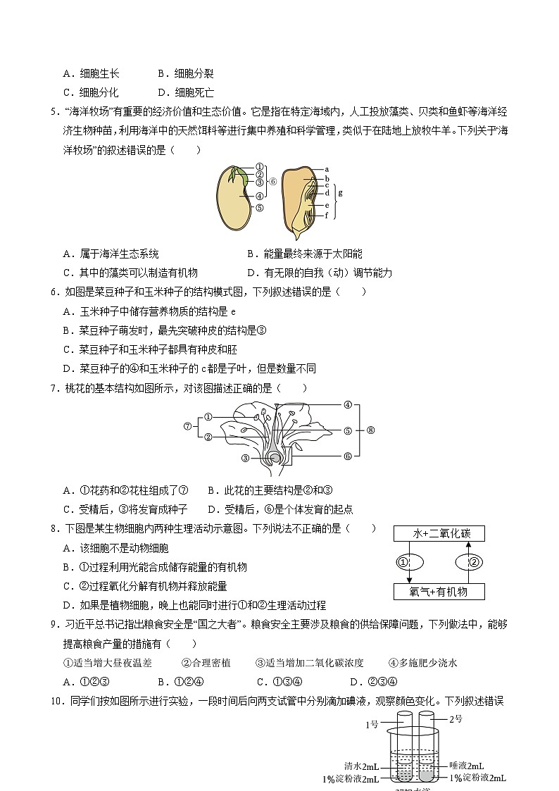 2024年中考生物押题预测卷（广东卷）-（含考试版、答案、解析和答题卡）02