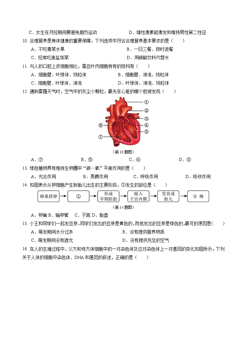 2024年中考生物押题预测卷（青岛卷）-（含考试版、答案、解析和答题卡）03