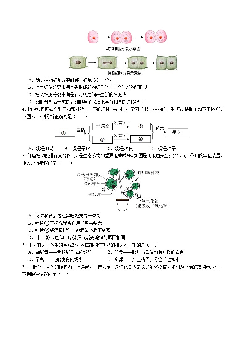 2024年中考生物第二次模拟考试（四川成都卷）02