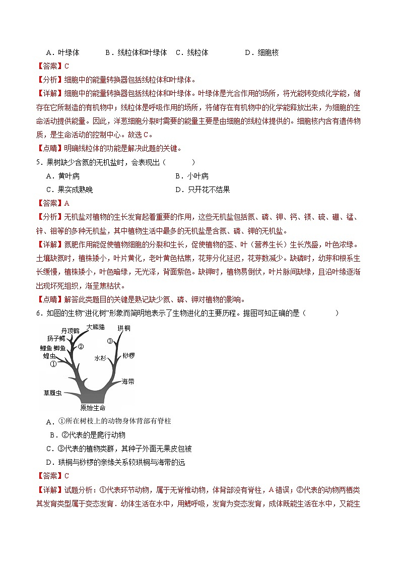 2024年中考生物第二次模拟考试（山东济南卷）03