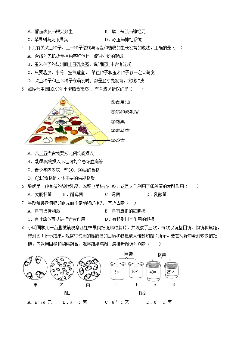 生物（广东省卷）（考试版A4）第2页