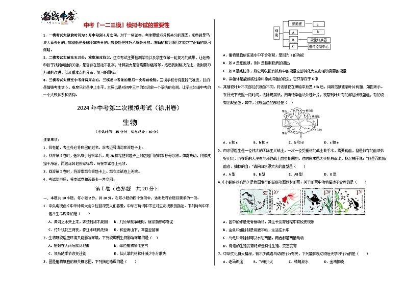 2024年中考生物第二次模拟考试（徐州卷）01