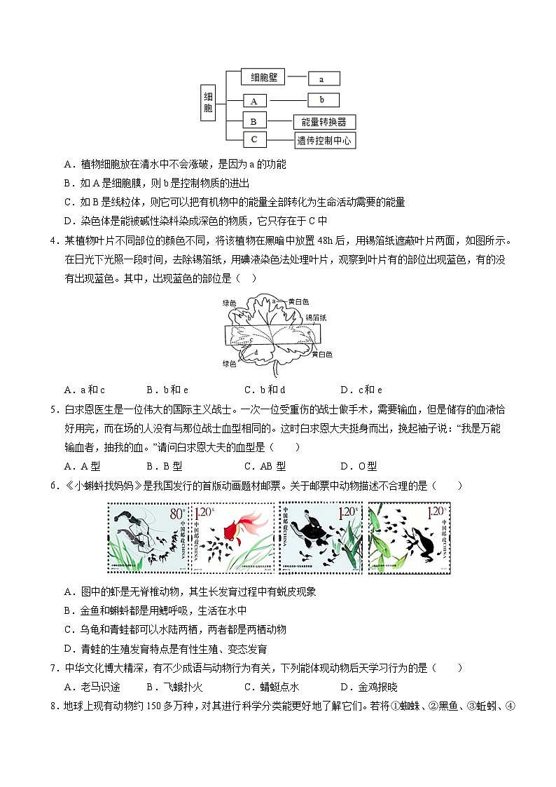 2024年中考生物第二次模拟考试（徐州卷）02