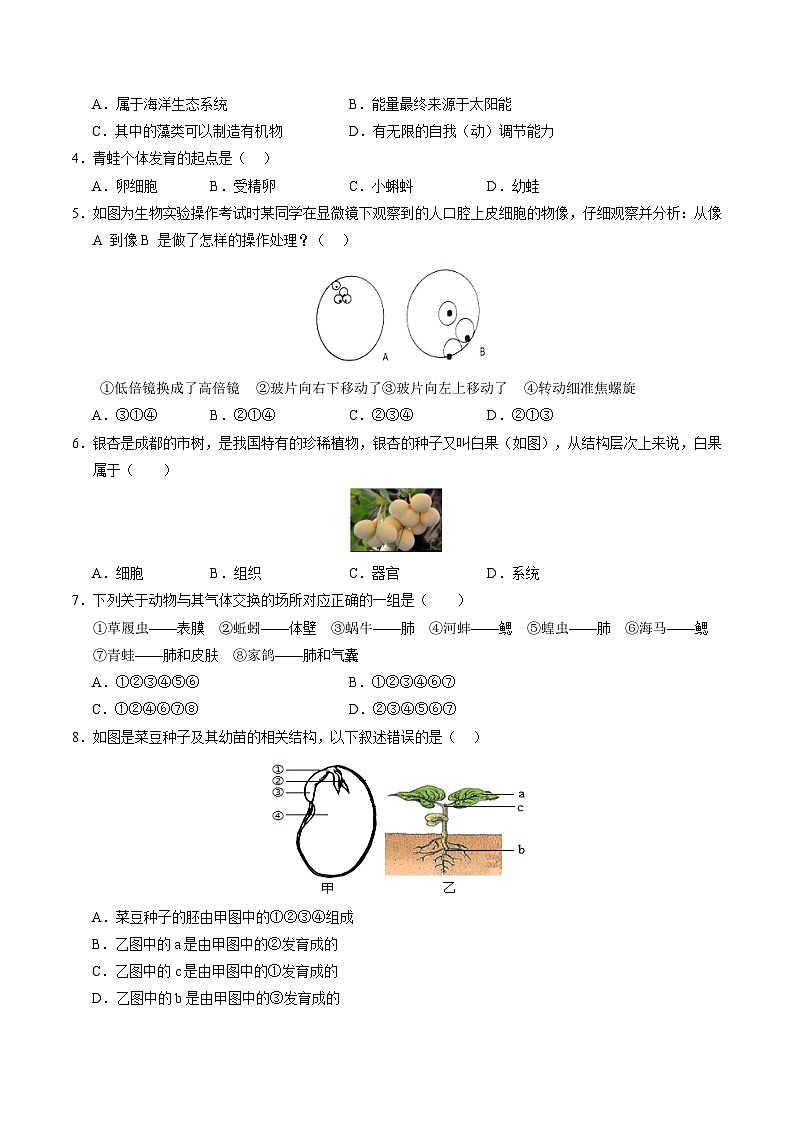 2024年中考生物第二次模拟考试（新疆卷）02