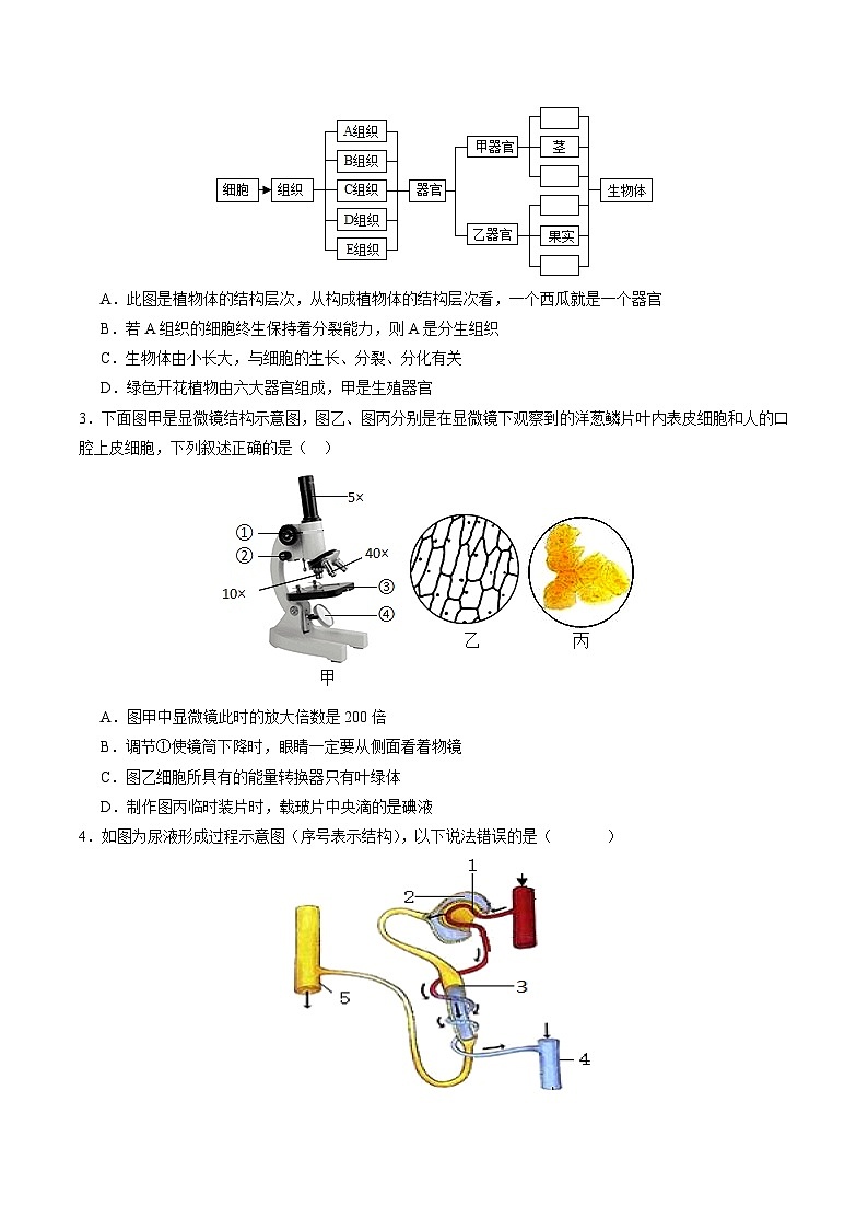 生物（湖北省卷）（考试版A4）第2页