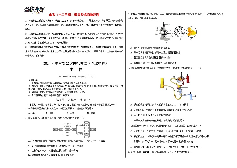 生物（湖北省卷）（考试版A3）第1页