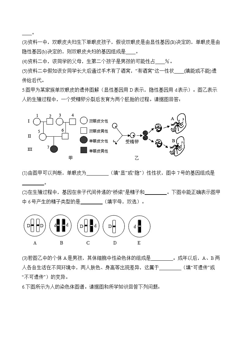 7.2 生物的遗传与变异 ——2023-2024学年八年级下册生物人教版期末分层训练（含解析）03