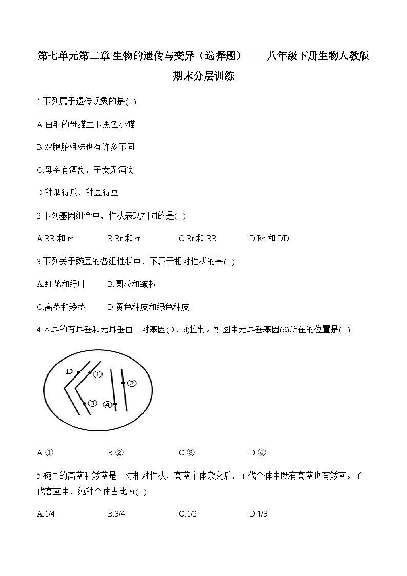 7.2 生物的遗传与变异 ——2023-2024学年八年级下册生物人教版期末分层训练（含解析）01