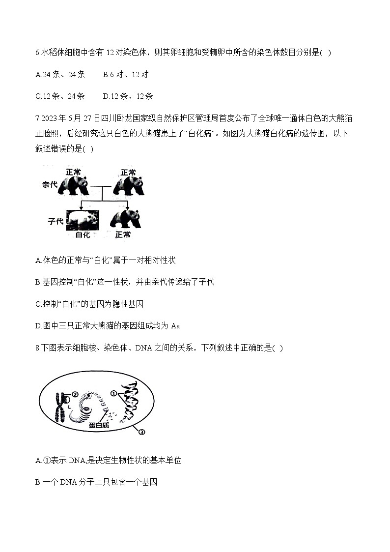 7.2 生物的遗传与变异 ——2023-2024学年八年级下册生物人教版期末分层训练（含解析）02