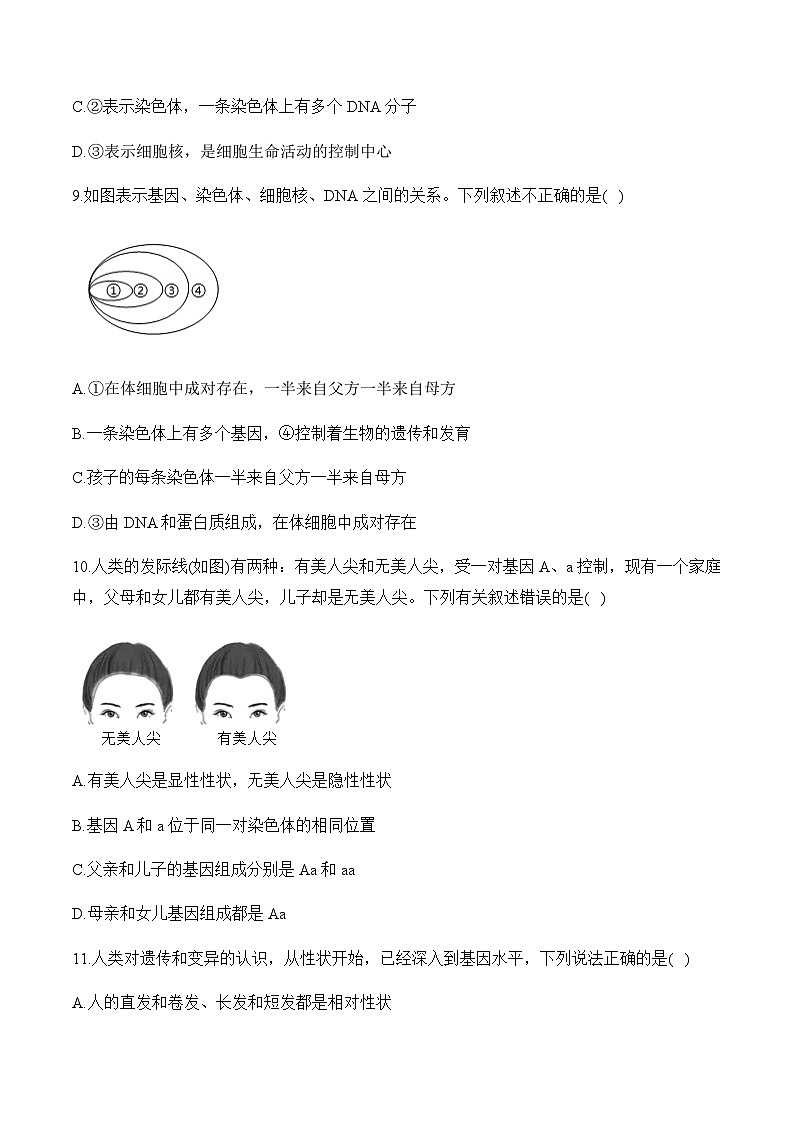 7.2 生物的遗传与变异 ——2023-2024学年八年级下册生物人教版期末分层训练（含解析）03