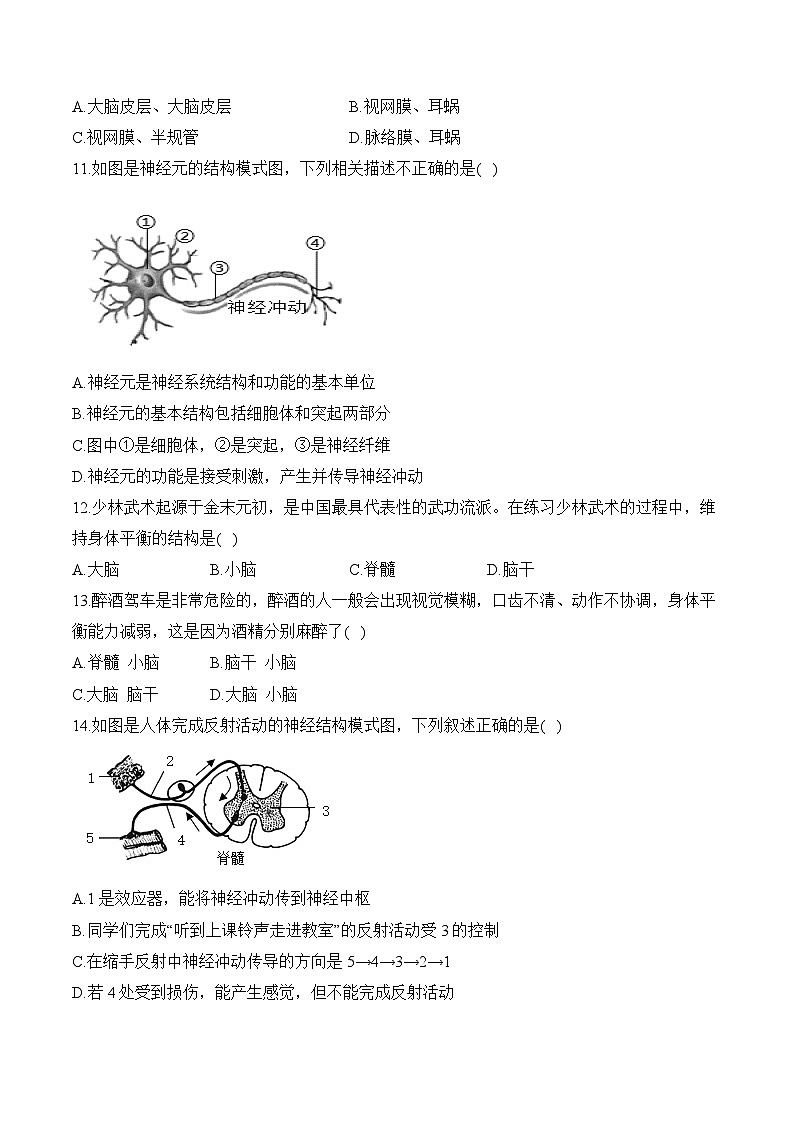 第四单元第六章 人体生命活动的调节（选择题）——七年级下册生物人教版期末分层训练第3页