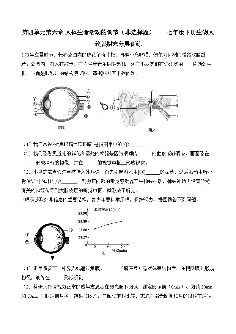 第四单元第六章 人体生命活动的调节（非选择题）——七年级下册生物人教版期末分层训练第1页