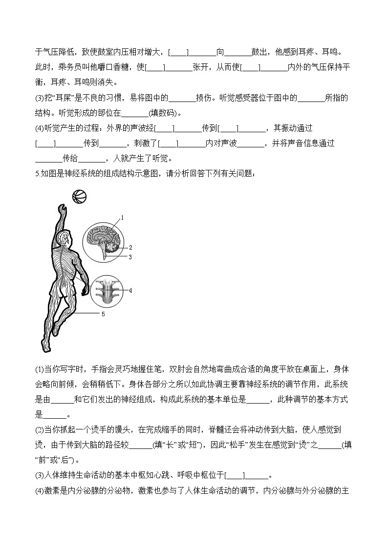 第四单元第六章 人体生命活动的调节（非选择题）——七年级下册生物人教版期末分层训练第3页
