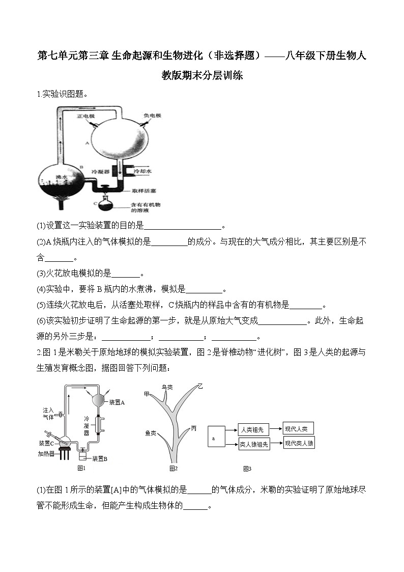 7.3  生命起源和生物进化 ——2023-2024学年八年级下册生物人教版期末分层训练（含解析）01