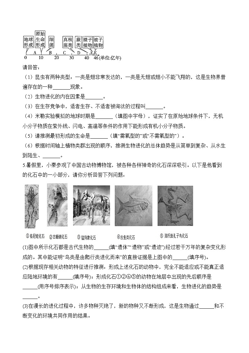 7.3  生命起源和生物进化 ——2023-2024学年八年级下册生物人教版期末分层训练（含解析）03