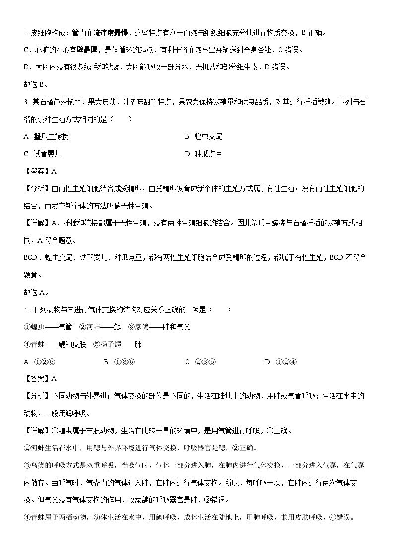 【生物】2024年河北省石家庄市八年级中考二模试卷（解析版）02