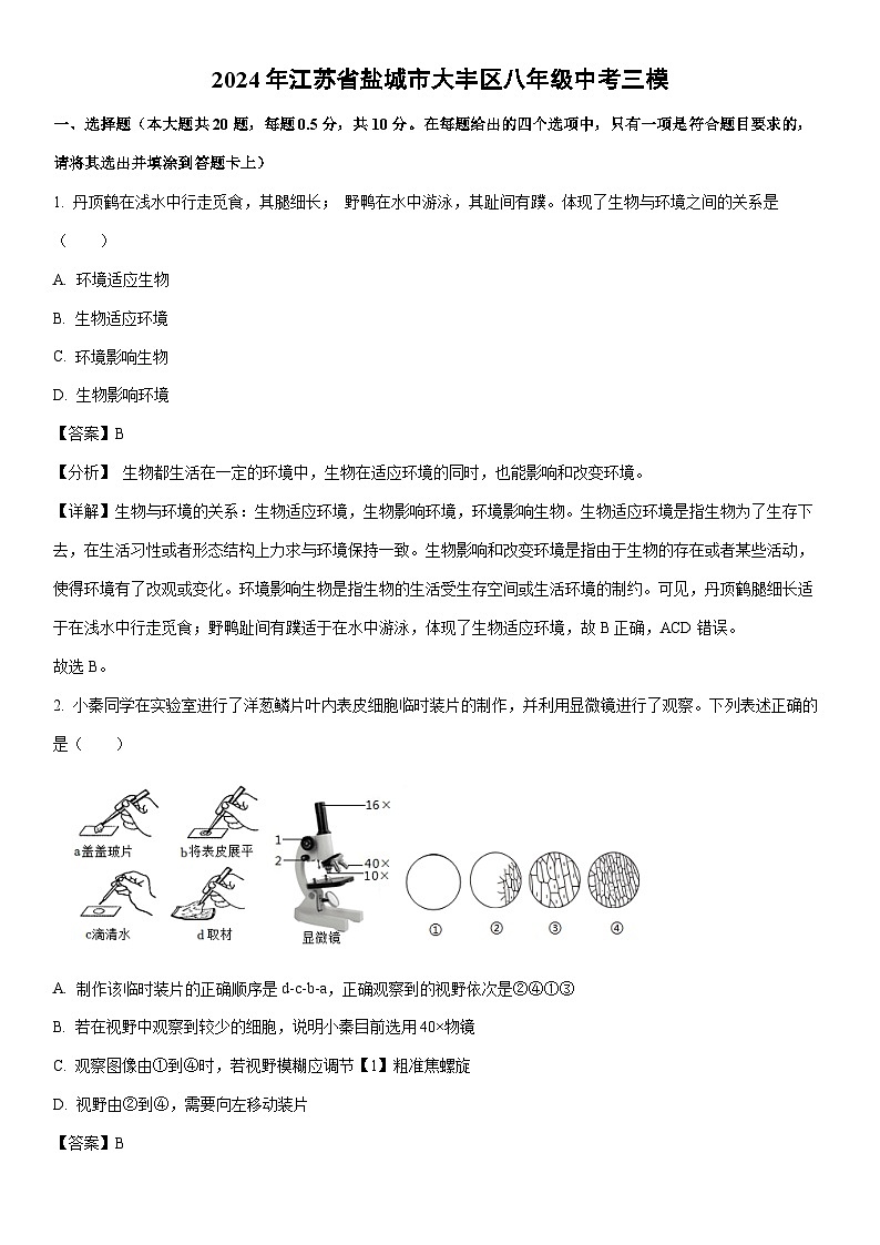 【生物】2024年江苏省盐城市大丰区八年级中考三模试卷（解析版）第1页