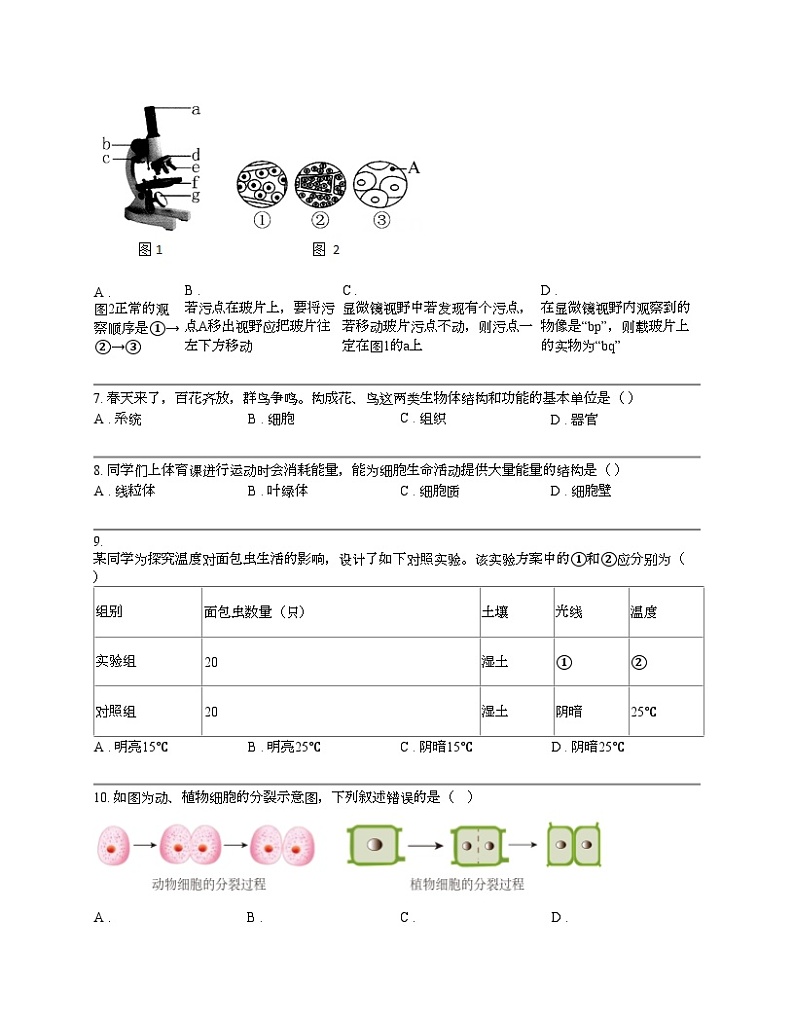 【生物】广西来宾市2023-2024学年七年级上学期生物期末试卷02