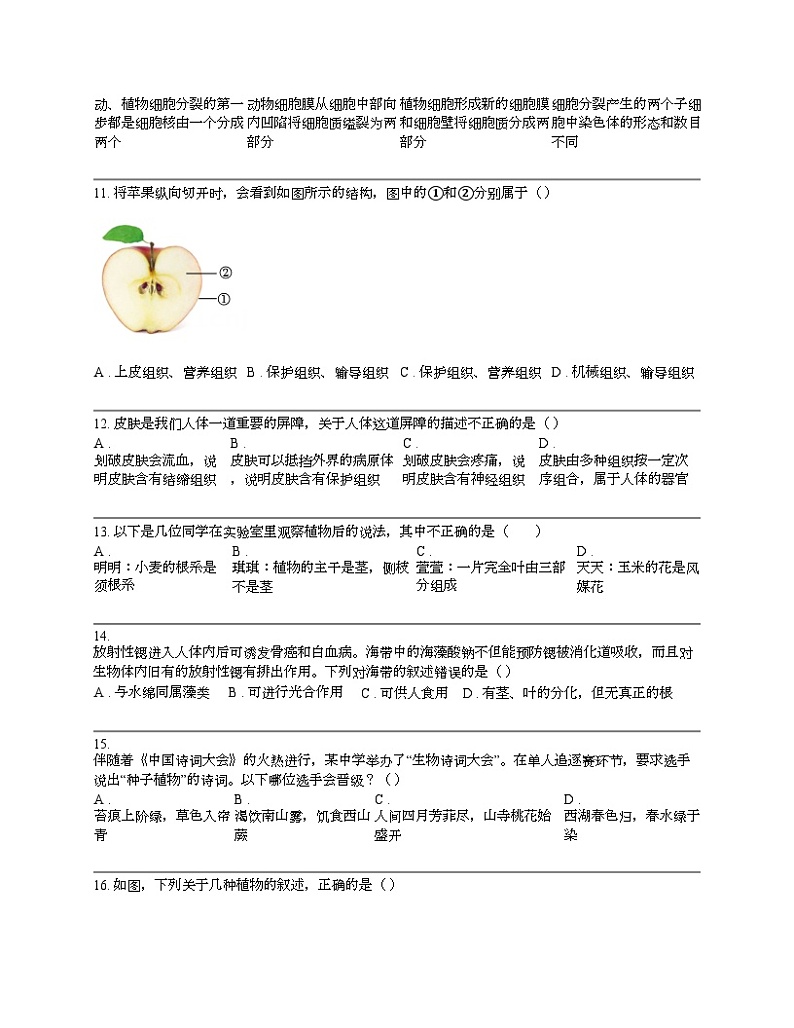 【生物】广西来宾市2023-2024学年七年级上学期生物期末试卷03