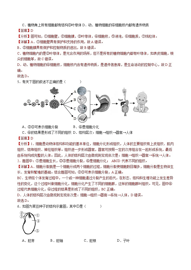 生物（武汉卷）（全解全析）第3页