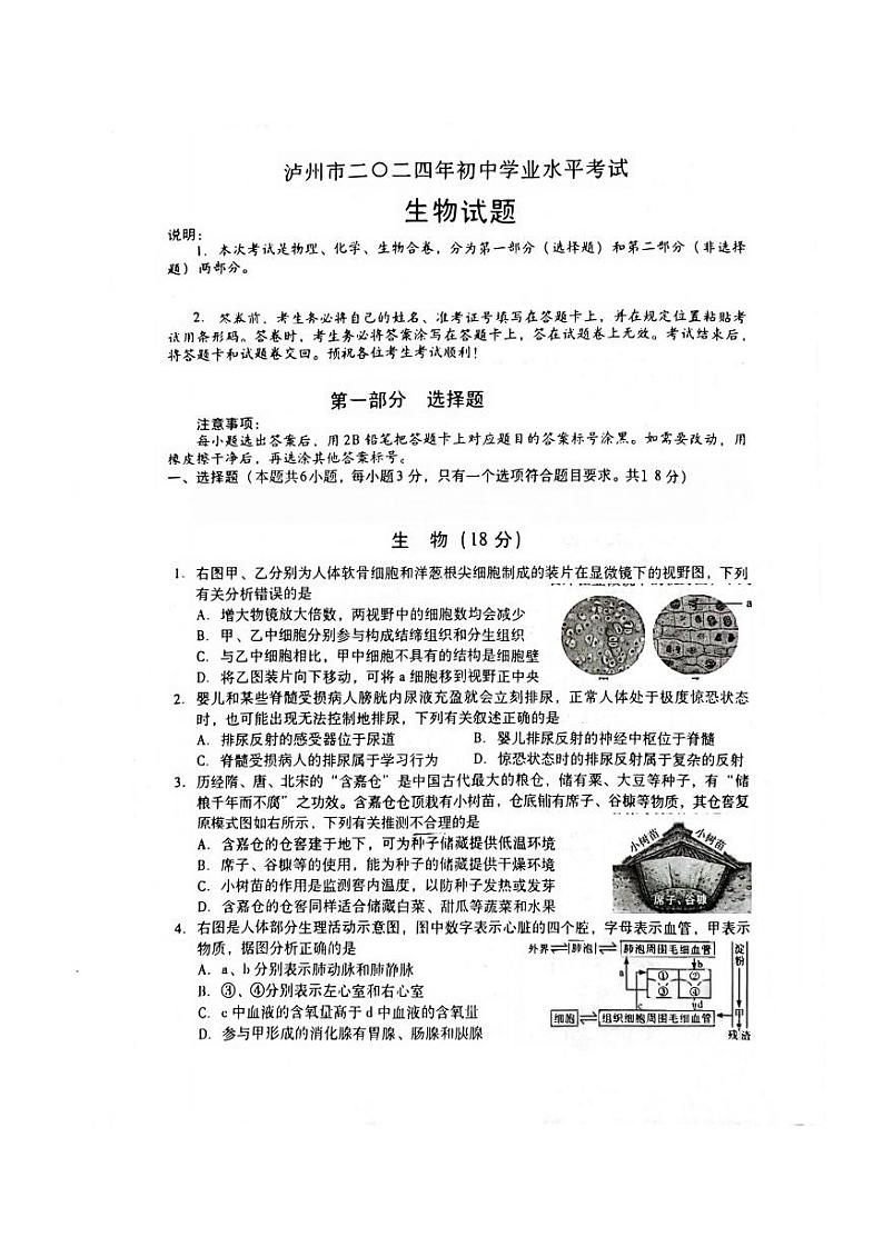 2024年四川省泸州市中考生物试题01