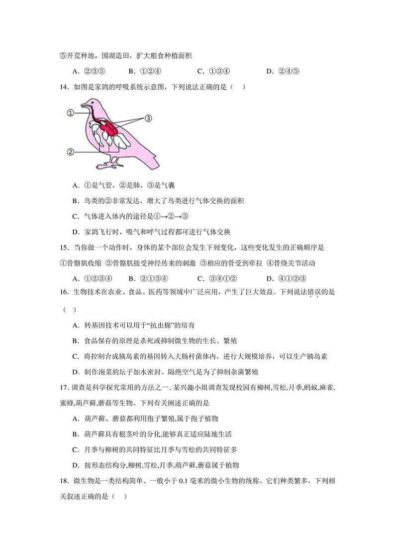 2024年河南省中考模拟生物试题（附答案解析）第3页
