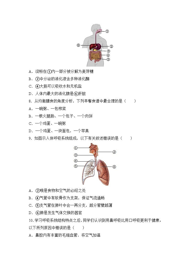 北京市东城区2022-2023学年七年级下学期期末生物试题02