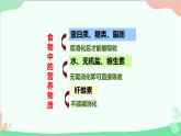 人教版生物七年级下册 第二章 第二节 消化和吸收课件