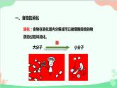 人教版生物七年级下册 第二章 第二节 消化和吸收课件