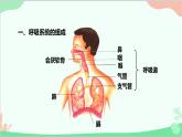 人教版生物七年级下册 第三章 第一节 呼吸道对空气的处理课件