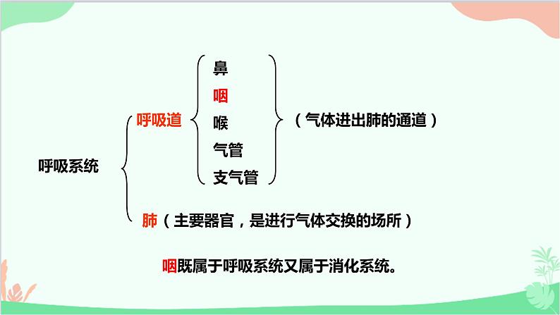 人教版生物七年级下册 第三章 第一节 呼吸道对空气的处理课件第4页