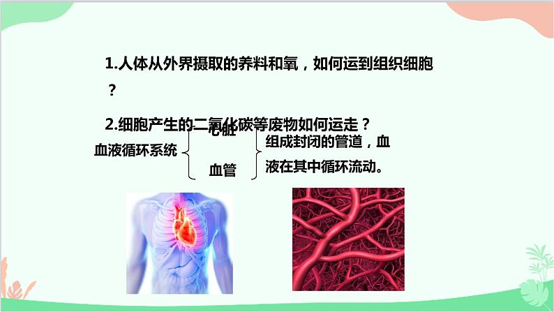 人教版生物七年级下册 第四章 第一节 流动的组织——血液课件第2页