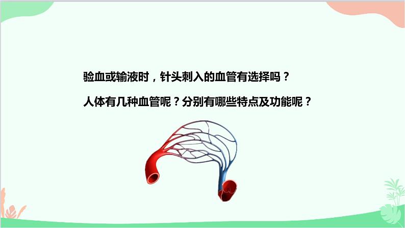 人教版生物七年级下册 第四章 第二节 血流的管道——血管课件第3页