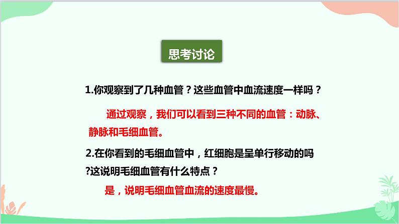 人教版生物七年级下册 第四章 第二节 血流的管道——血管课件第5页