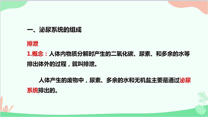 人教版生物七年级下册 第五章 人体内废物的排出课件03