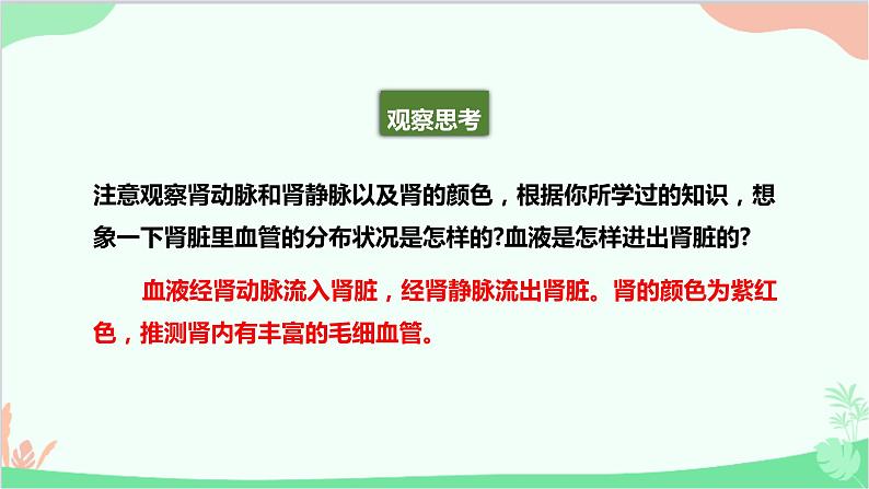 人教版生物七年级下册 第五章 人体内废物的排出课件05