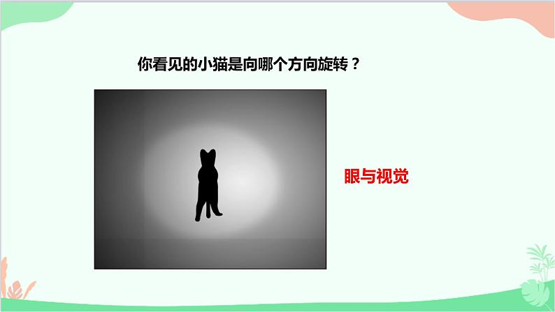 人教版生物七年级下册 第六章 第一节 人体对外界环境的感知课件第2页