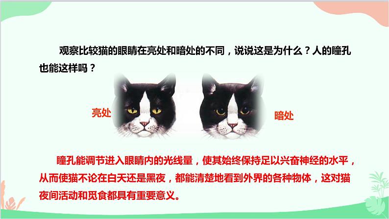 人教版生物七年级下册 第六章 第一节 人体对外界环境的感知课件第6页