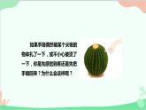 人教版生物七年级下册 第六章 第三节 神经调节的基本方式课件