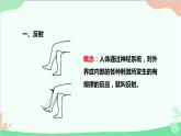 人教版生物七年级下册 第六章 第三节 神经调节的基本方式课件