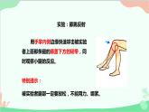 人教版生物七年级下册 第六章 第三节 神经调节的基本方式课件