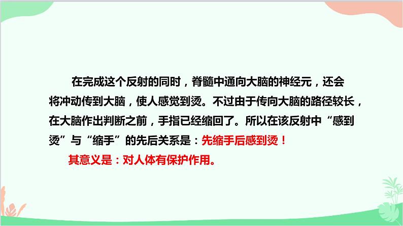 人教版生物七年级下册 第六章 第三节 神经调节的基本方式课件08