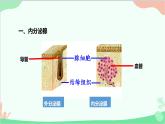 人教版生物七年级下册 第六章 第四节 激素调节课件