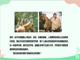 人教版生物七年级下册 第七章 第三节 拟定保护生态环境的计划课件