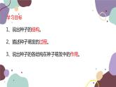 冀少版生物八年级上册 3.1.1 种子萌发的过程课件
