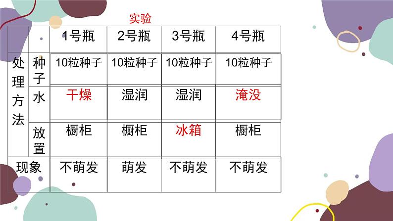 冀少版生物八年级上册 3.1.3 芽的发育课件02