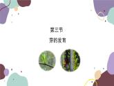 冀少版生物八年级上册 3.1.3 芽的发育课件